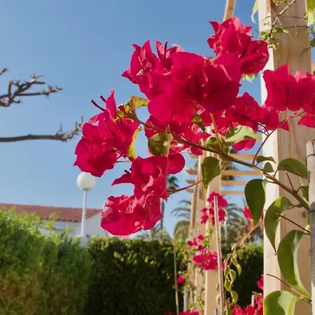 Casita Blanca Near Yumbo Lägenhet *