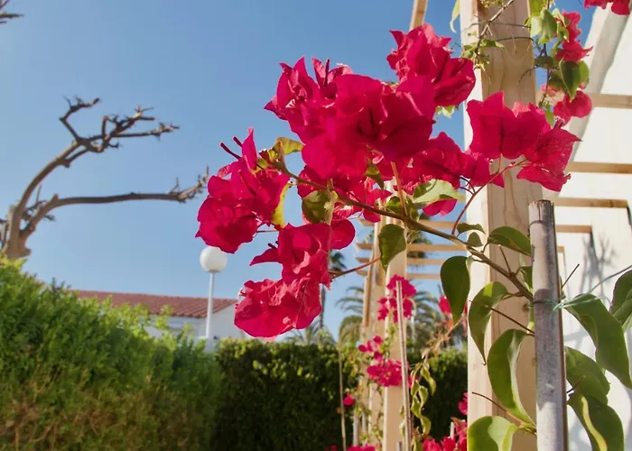 Casita Blanca Near Yumbo Апартаменти *